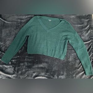 Wild fable green sweater